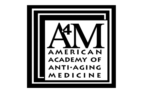 america-academy-logo-a.webp